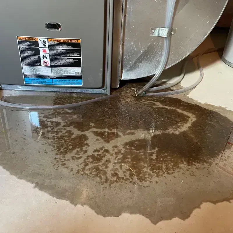 Appliance Leak Cleanup in Caguas, PR